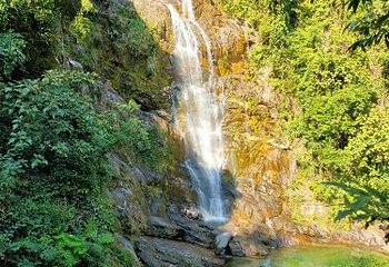鼎湖山第 61 张图片