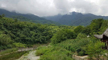 陇南阳坝梅园沟第 22 张图片