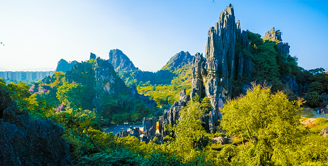 春湾石林第 20 张图片