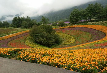 红池坝风景区第 32 张图片