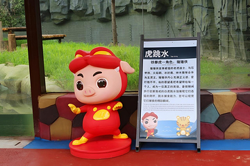 江苏淹城野生动物世界第 17 张图片