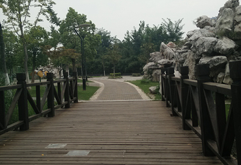 泗阳县城市森林公园第 3 张图片