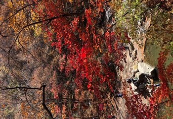 筐子沟生态风景区第 12 张图片