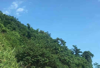 真武山古建筑群第 6 张图片