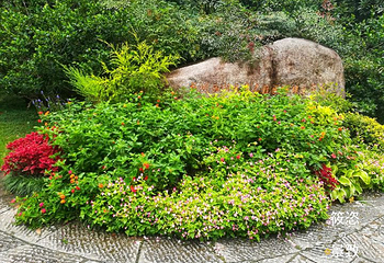 杭州花圃第 8 张图片