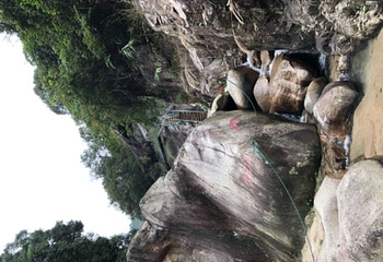 厦门野山谷景区第 47 张图片