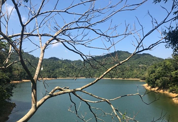 神玉岛第 79 张图片