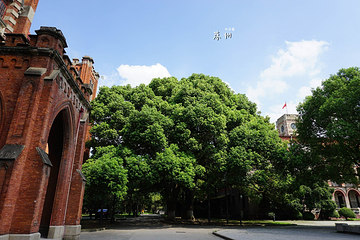 东吴大学旧址第 19 张图片