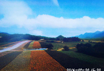 红池坝高山草场第 22 张图片