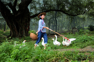 杨家溪第 57 张图片