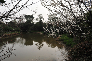 阳山桃花岛景观公园第 11 张图片