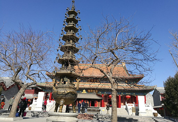 大悲禅院第 16 张图片