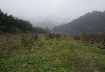 仙洞山公园第 3 张图片