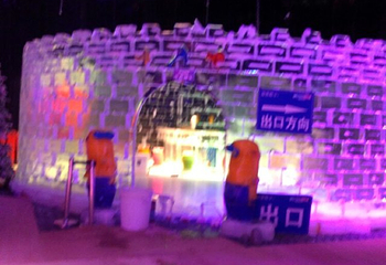 侏罗纪冰雪乐园(横岗店)第 38 张图片