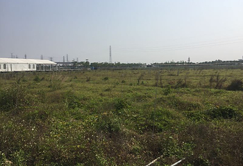 东莞百香岛生态农业旅游区第 10 张图片