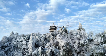张家界国家森林公园第 9 张图片