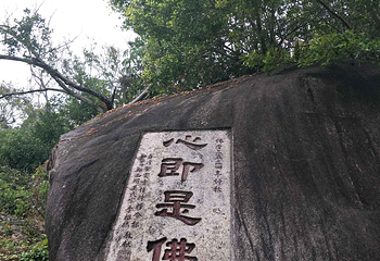 厦门园林植物园-五老峰第 26 张图片