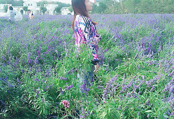 花YOUNG PARK第 31 张图片