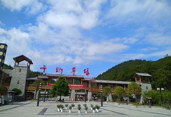 重庆千野草场景区第 42 张图片