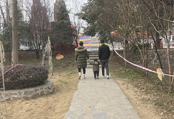 欢乐岛第 32 张图片