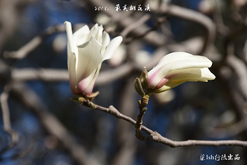 国家植物园北园-卧佛寺第 4 张图片