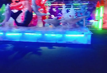 石家庄植物园第 19 张图片