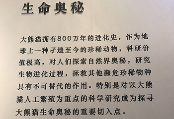 中华世纪坛第 37 张图片