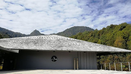 腾冲云峰山原始森林公园第 25 张图片