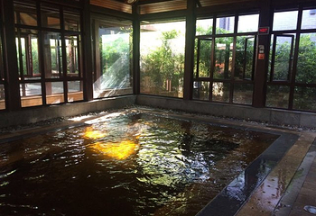 马龙盛水湾温泉第 22 张图片