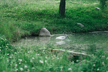 长青华阳景区第 34 张图片