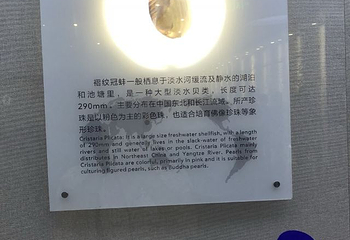 北海南珠博物馆第 16 张图片