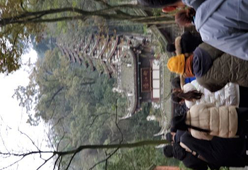 青城前山第 63 张图片