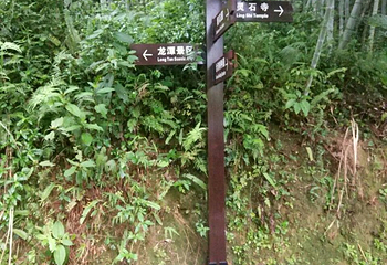 灵石山国家森林公园第 20 张图片