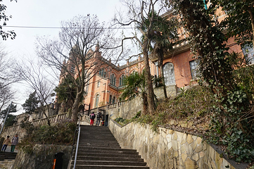 上海佘山国家森林公园第 39 张图片