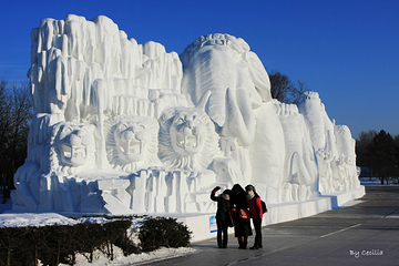 太阳岛风景区第 78 张图片