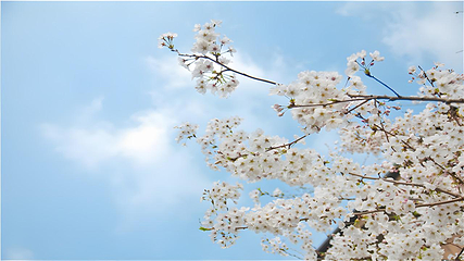 禅意小镇·拈花湾第 19 张图片