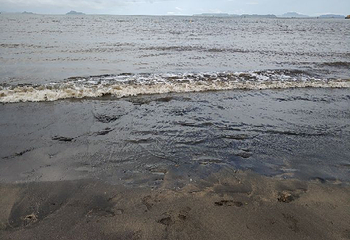 黑沙海滩第 38 张图片