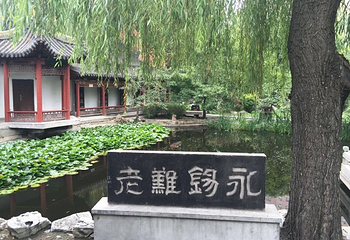 碑林公园第 25 张图片