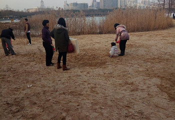 精彩上海旅游联票第 15 张图片