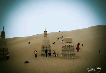沙漠生态旅游风景区第 5 张图片