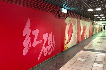 红磡体育馆第 22 张图片