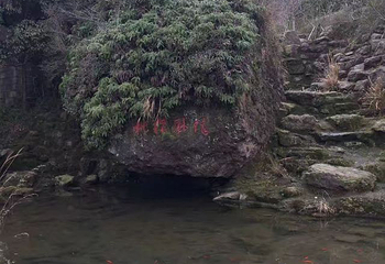 桃江十三渚第 25 张图片