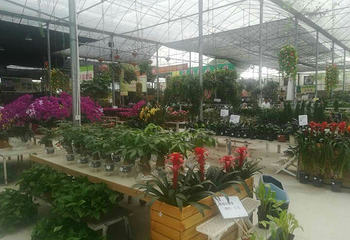 清远花卉庄园第 18 张图片