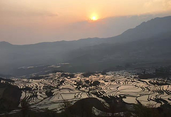 多依树梯田第 14 张图片