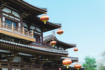 青龙寺第 81 张图片
