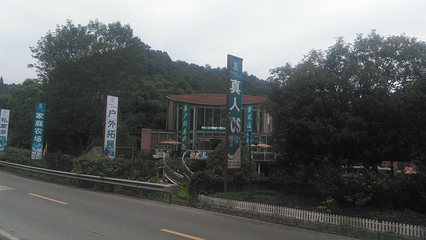 茶溪谷第 76 张图片