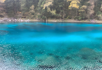 黄龙风景名胜区第 324 张图片