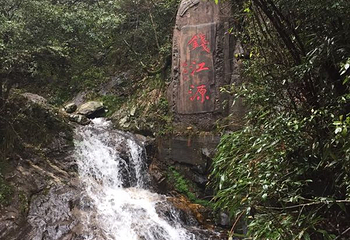 莲花塘第 4 张图片