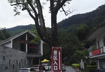 大容山国家森林公园第 39 张图片
