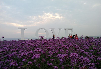 周祖陵景区第 24 张图片